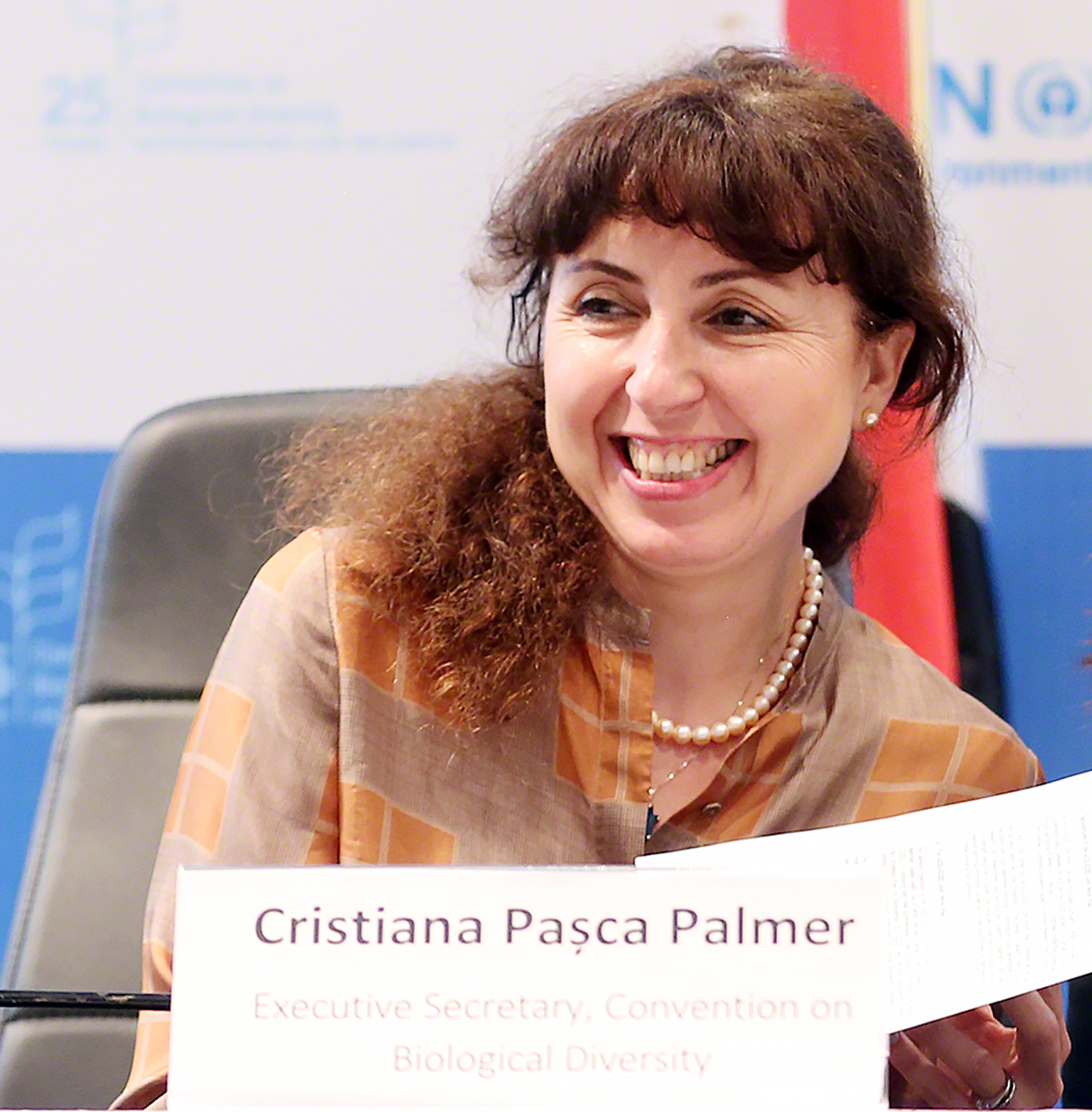 image Environnement Consultation régionale sur le cadre mondial de la biodiversité pour l’après-2020 en Afrique